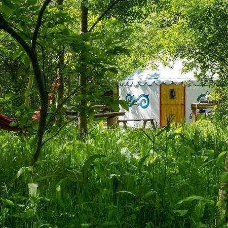 Plush Tents Yurt Village Chichester Luaran gambar