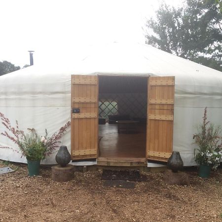Plush Tents Yurt Village Chichester Luaran gambar