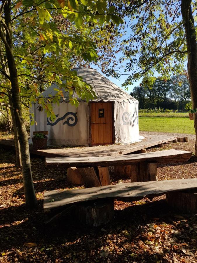 Plush Tents Yurt Village Chichester Luaran gambar