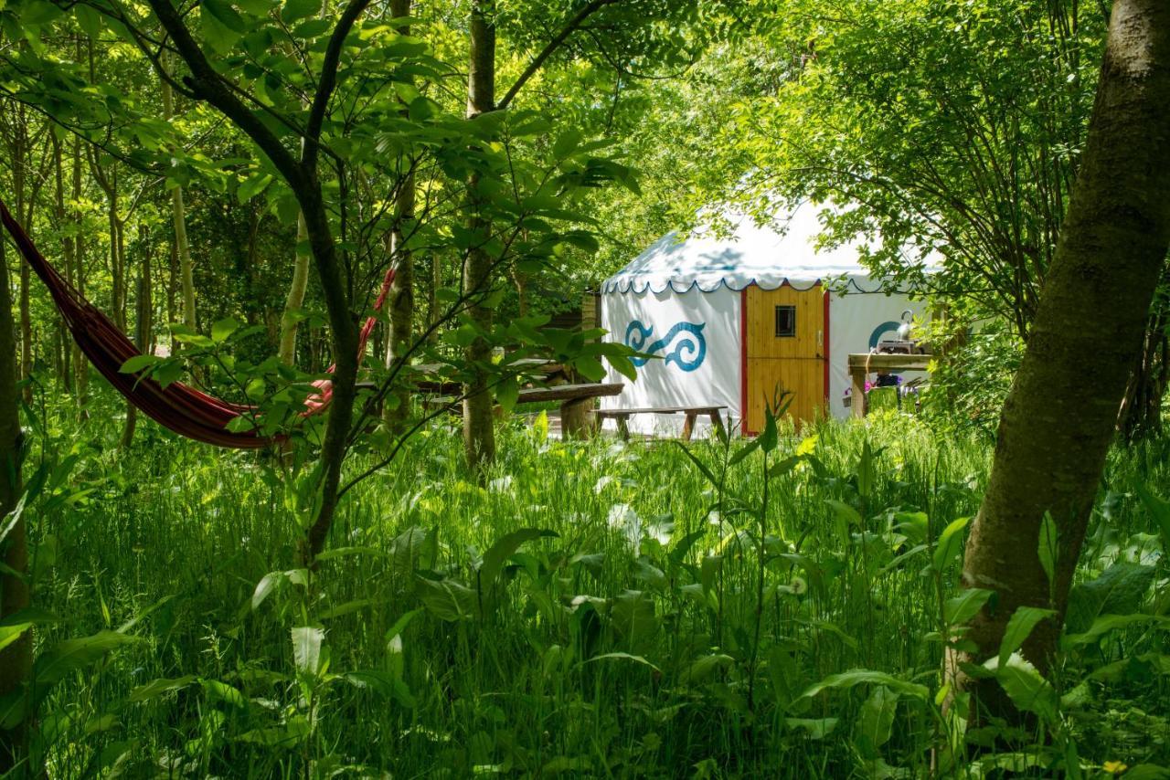 Plush Tents Yurt Village Chichester Luaran gambar