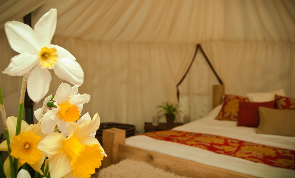 Plush Tents Yurt Village Chichester Bilik gambar