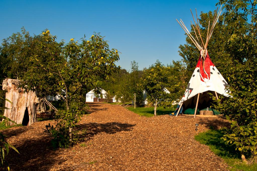 Plush Tents Yurt Village Chichester Luaran gambar