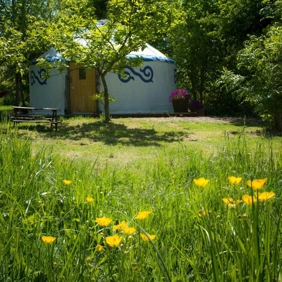 Plush Tents Yurt Village Chichester Luaran gambar