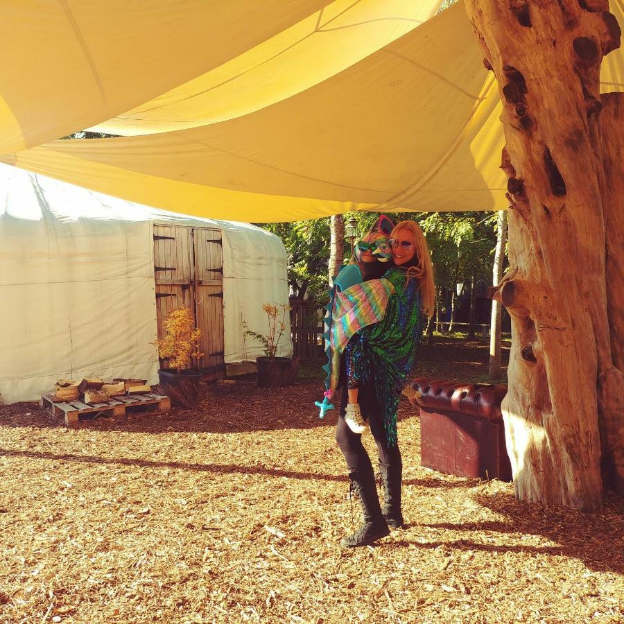 Plush Tents Yurt Village Chichester Luaran gambar