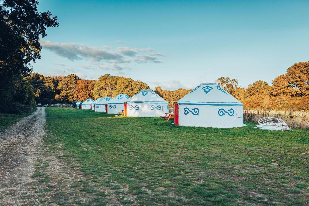 Plush Tents Yurt Village Chichester Luaran gambar